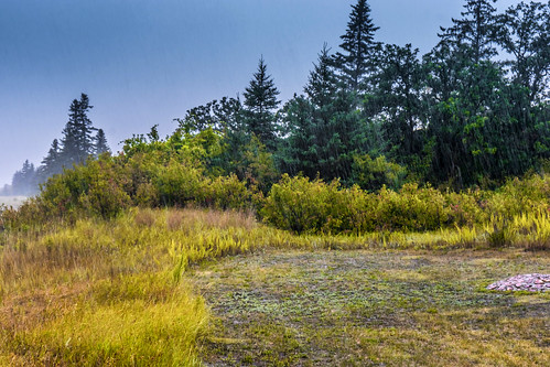 manitoba harvest rain マニトバ州 canada カナダ 8月 八月 葉月 hachigatsu hazuki leafmonth 2019 reiwa summer august landscape