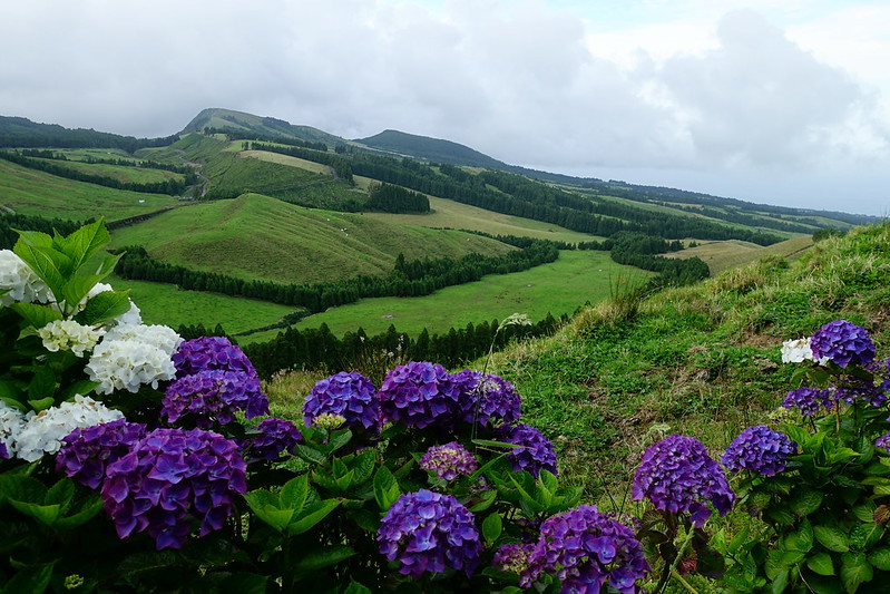 Ribeira Grande. Miradores del Noroeste. Serra Davassa (ruta senderista). - Vacaciones en las Islas Azores: Sao Miguel y Terceira. (53)
