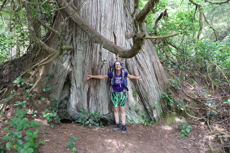 Happy Vicki posing near her favorite type of tree - a Cedar