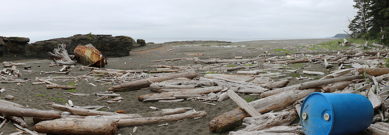 We took a Beach Access side trail and found ourselves on Stanley Beach, where there was an old boat wreck