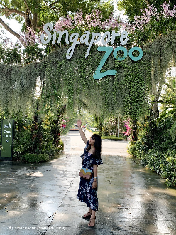 2019 Singapore Zoo 1