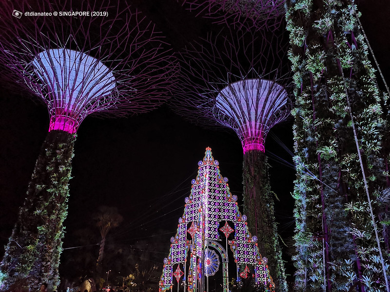 2019 Singapore Gardens By The Bay Supertree Grove