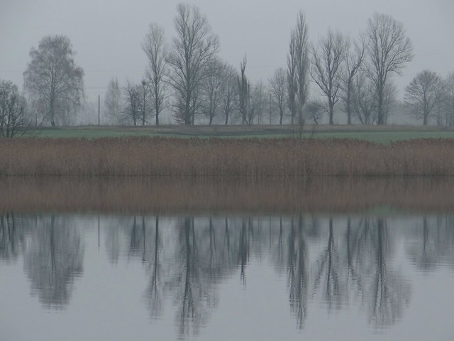Winter morning at the pond. Lebedin city, Sumy region Ukraine.