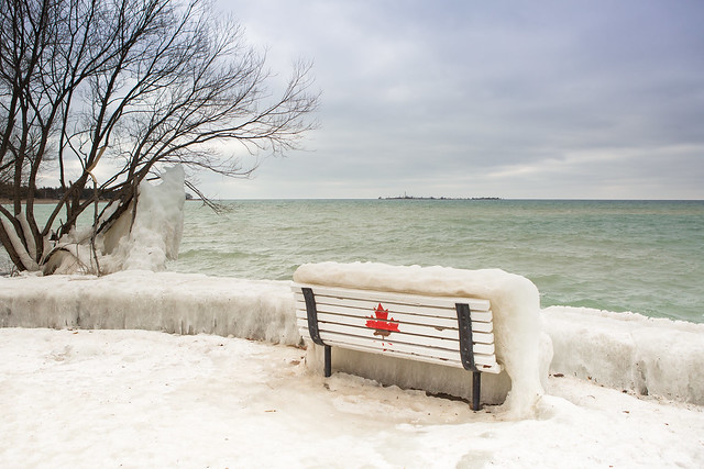 frozen bench
