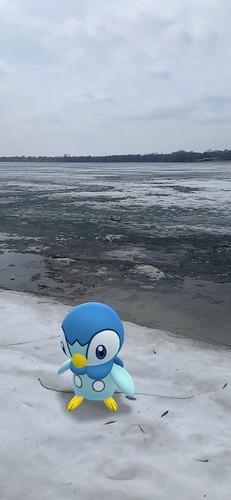0393 - Piplup position=bottom