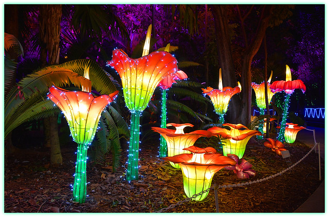 Luminosa Flowers.  Miami, FL