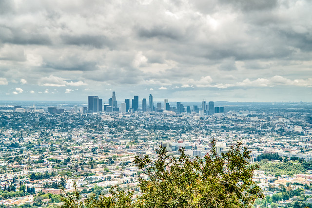 L.A. Cityscape
