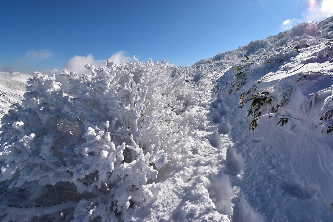 磐梯山の樹氷