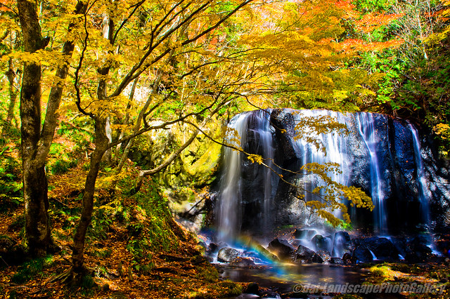 虹かかる達沢不動滝の秋