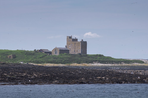 An image of the cluster of buildings on Inner Farne.