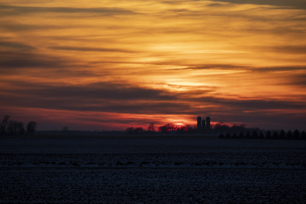 Sunset over the cornfield by silos