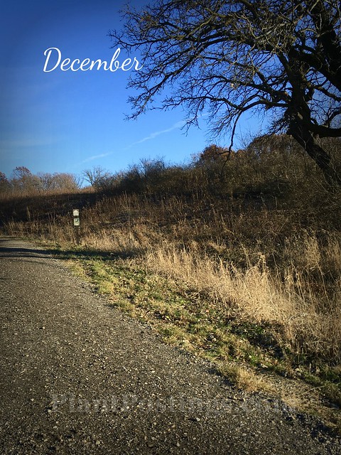 December