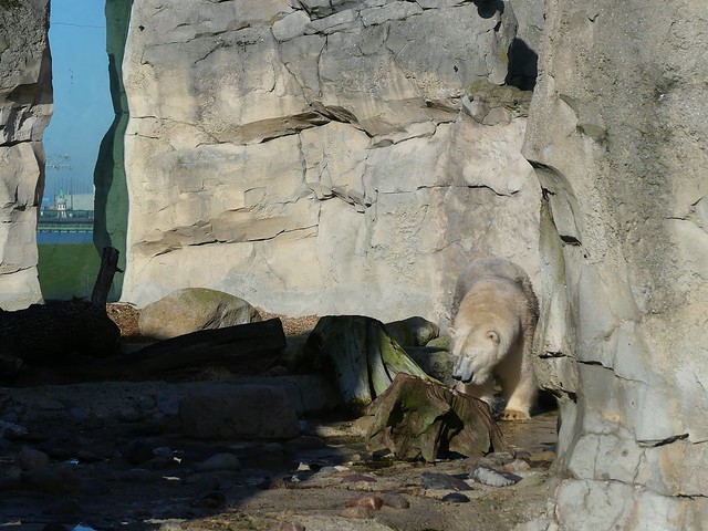 Zoo am Meer, Bremerhaven
