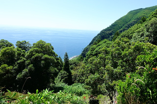 Miradores del Nordeste. Faial da Terra. Salto do Prego (ruta senderista). - Vacaciones en las Islas Azores: Sao Miguel y Terceira. (15)