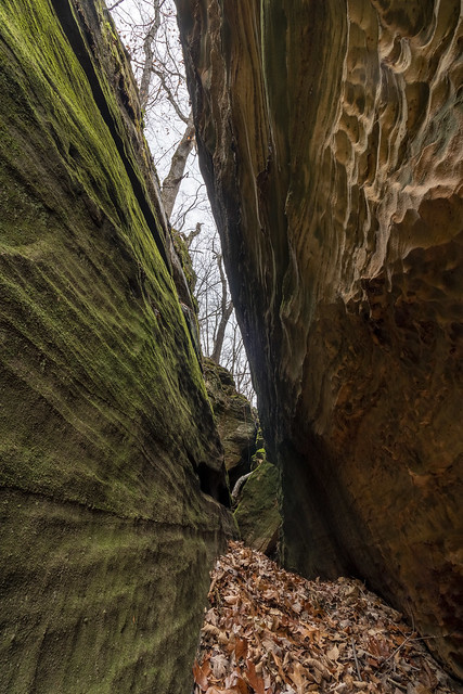 Buzzards Cave Arch, Edmonson County, Kentucky 6