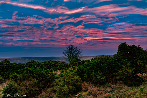 sunset north yorkshire moors danby ainsworth gorse moss grass sky pink alien