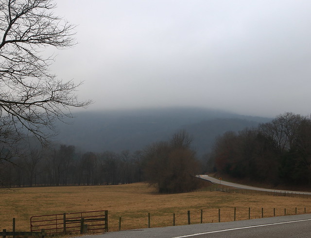 Foggy Morn in Boxley Valley -Northwest Arkansas