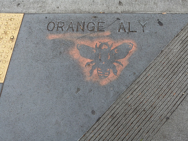 A18349 / orange alley bumble