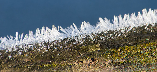 Ice crystals rising, Northycote