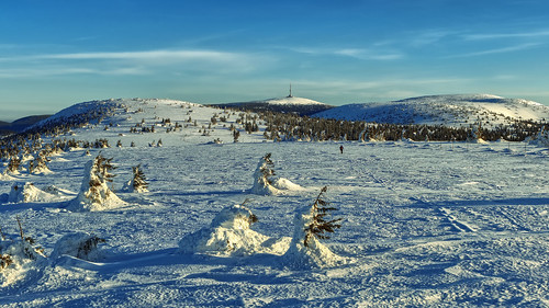 landscape morning jesneniky snow