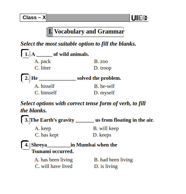 UIEO Sample Paper for Class 10