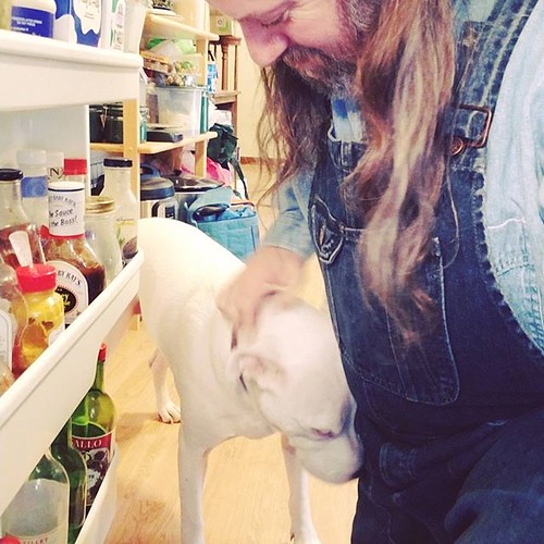 I see you're in the fridge. Need help? #Carla #dogsofinstagram #pitbullsofinstagram #pitbullmix #pittie