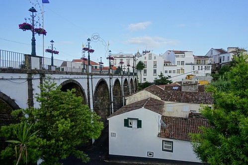Vacaciones en las Islas Azores: Sao Miguel y Terceira. - Blogs de Portugal - Zona Nordeste. Chá Gorreana (plantació de té). Mirador Sta. Iria. Ponta Delgada. (6)