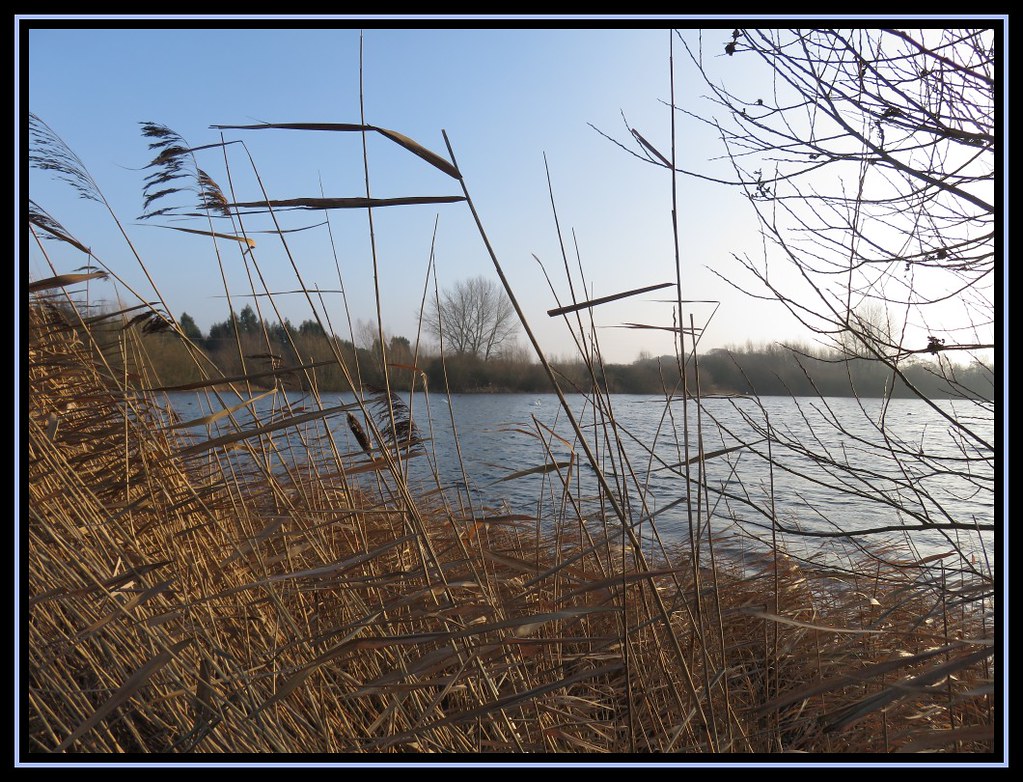 Idle Valley Nature Reserve 2