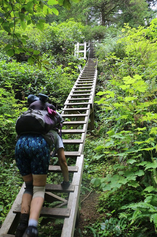 There were lots of steep, long ladders leading down into Cullite Creek