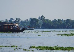 Kerala 20