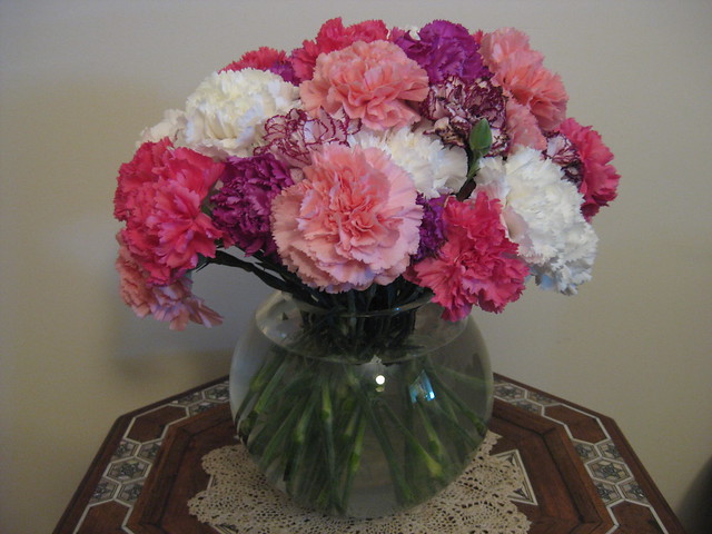 New Year Carnations in Pink, Russet, Magenta and White
