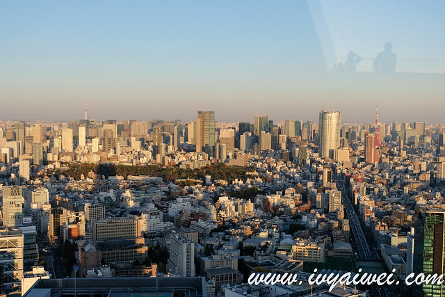 Shibuya Sky (4)