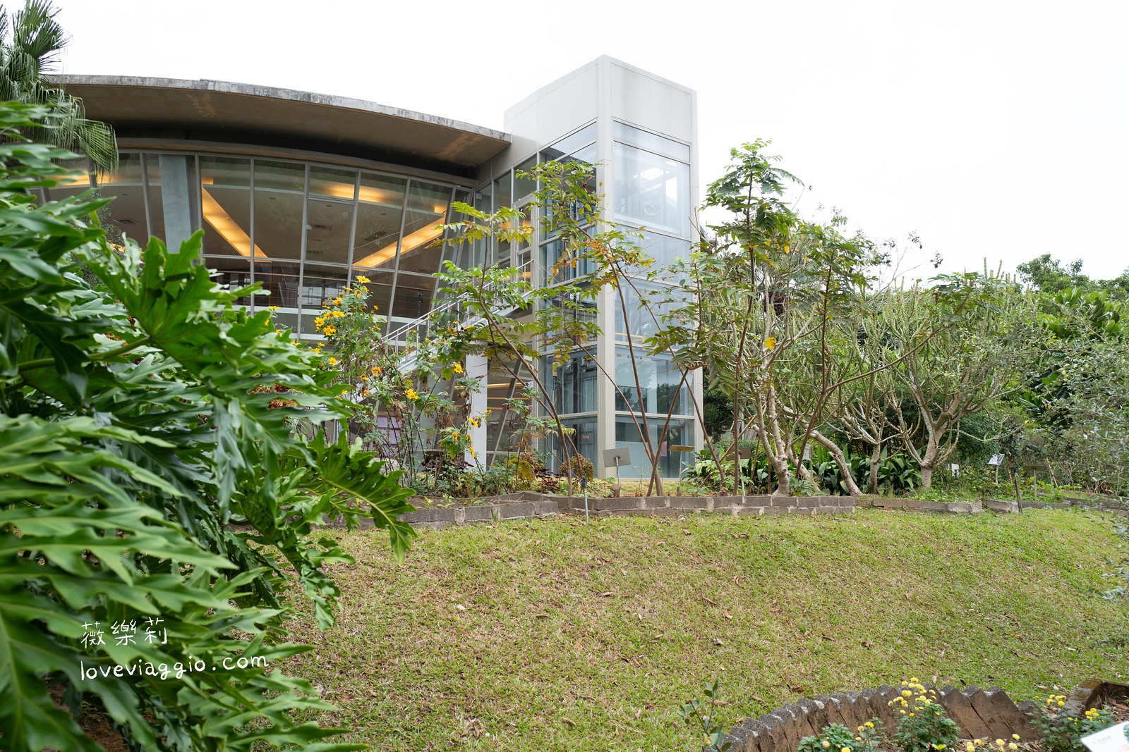 卑南,原生植物園 火鍋,台東原生應用植物園,台東景點,台東牧場,台東餐廳,汆燙鍋,養生餐廳 @薇樂莉 - 旅行.生活.攝影