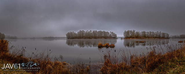 Foggy marsh landscape -0896