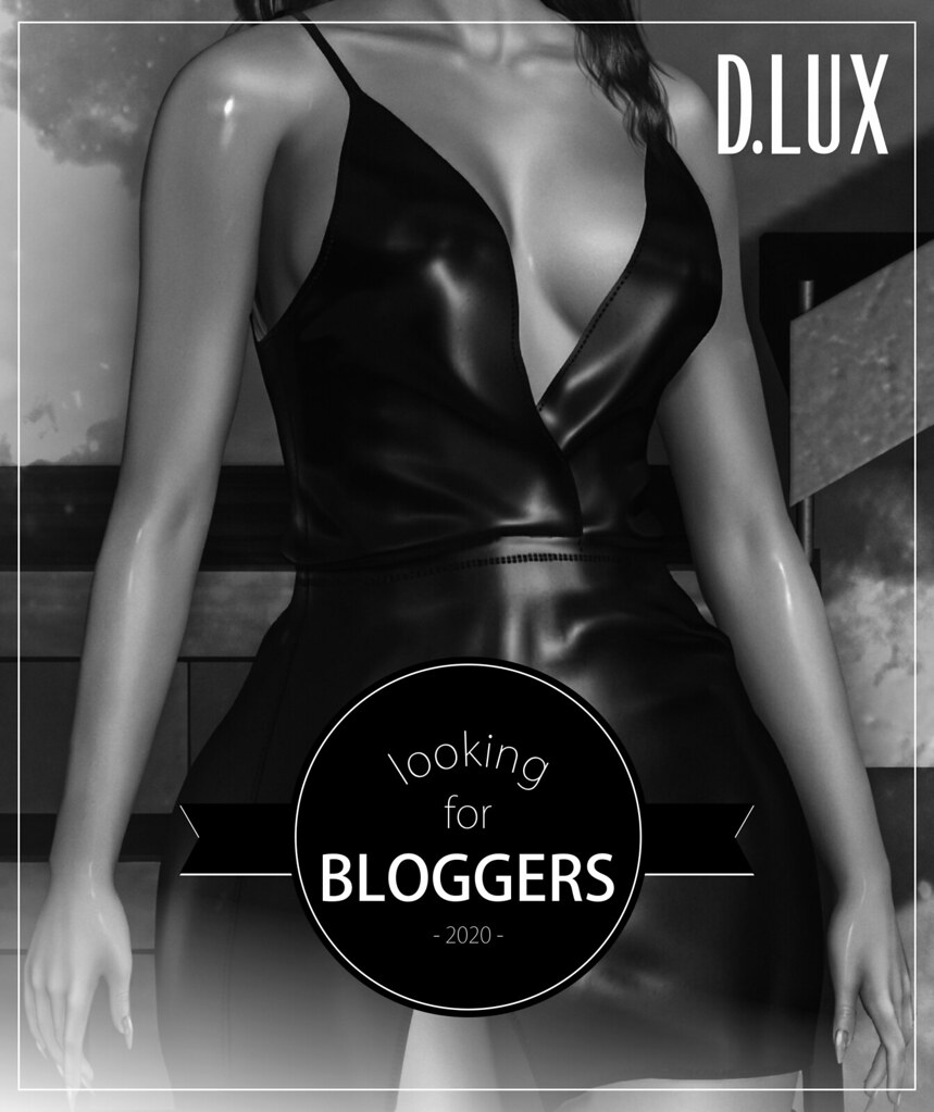 D.LUX  @  LOOKING FOR BLOGGERS