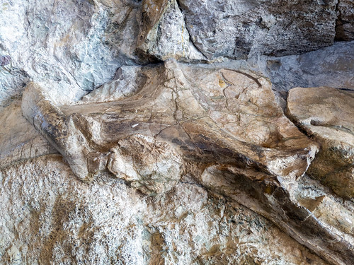 Dinosaur National Monument, us unitedstates co colorado ut utah nationalmonument findyourpark dinosaur fossil archeology geologyjensenutahunitedstatesofamerica