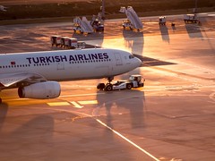 Remarkable Progress by Turkish Airlines, Set to Open Four New Routes in 2020