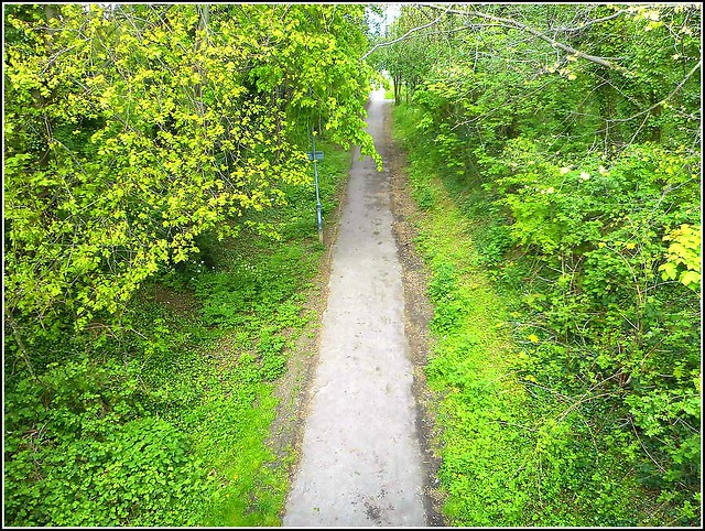 Rural Walk and Cycle Track ,