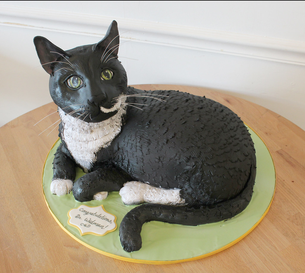 Tall Cat Cake – Woof Gateaux