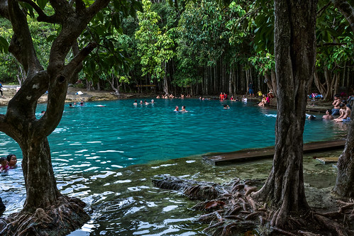 khlongthomdistrict krabi thaïlande asie voyage tourisme culture randonnée lac piscinedemeraude baigneur eaubleue forêt arbres mangrove paysage sanctuaire khaoprabangkhram parc parcnational sourcechaude emeraldpool cascade
