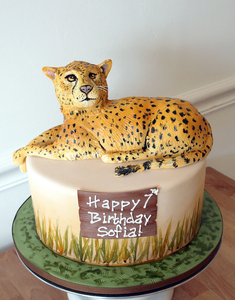 Cheetah Cake - a photo on Flickriver