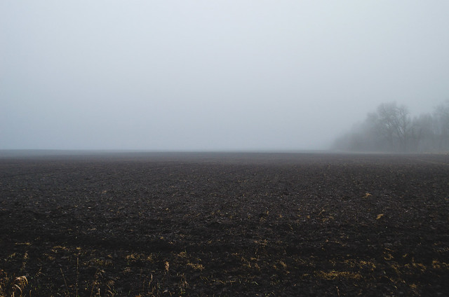 Morning fog over a plowed field