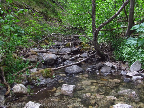 The west fork of Gavilan Creek, Carson National Forest, New Mexico