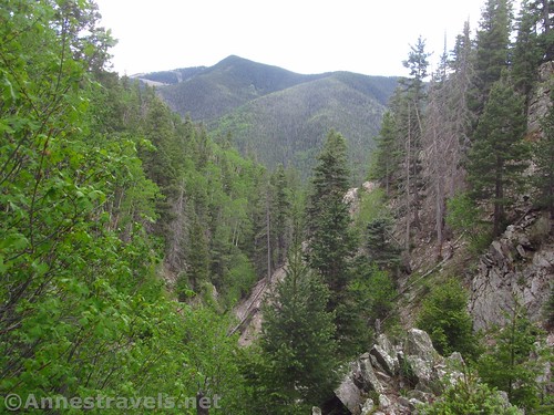 Looking downcanyon from near the top of Gavilan Falls, Carson National Forest, New Mexico