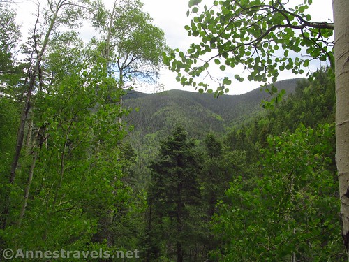 Peek-a-boo views through the trees to a nearby ridgeline along the Gavilan Trail, Carson National Forest, New Mexico