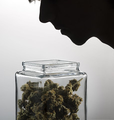 Cannabis Smell