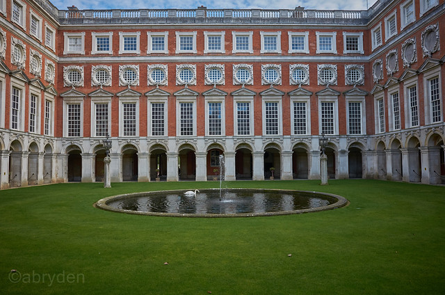Lone swan at Fountain Court, Hampton Court Palace