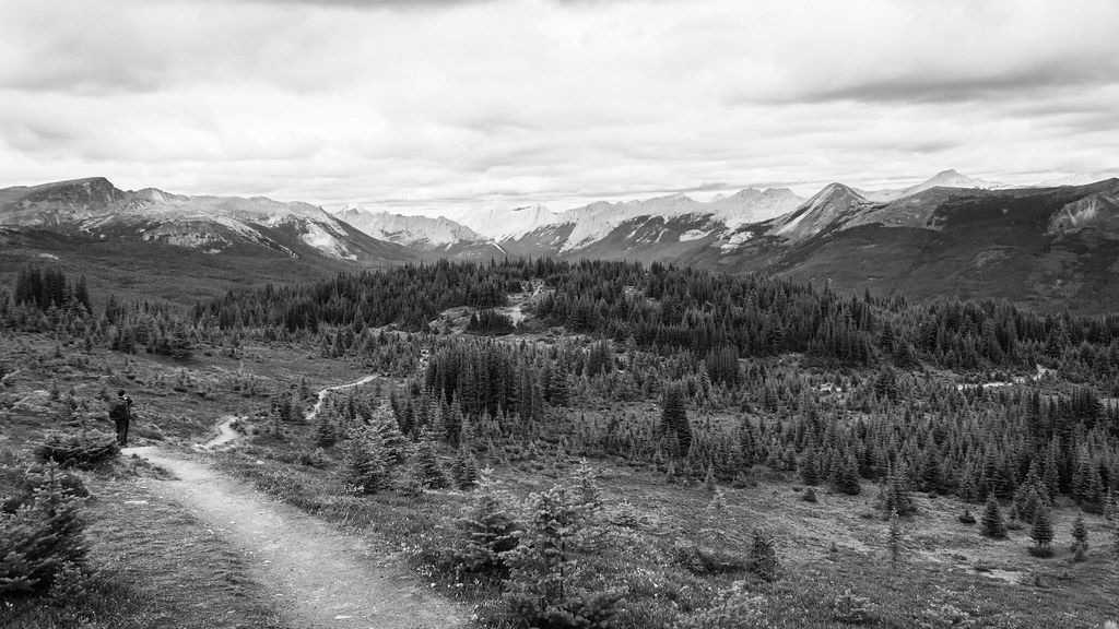 Jasper National Park