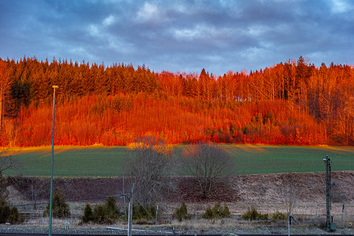 sonnenuntergang wolfegg rot sunset red orange leuchten wald bäume trees forest oberschwaben badenwürttemberg landscape landschaft allgäu