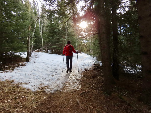 Brown-Lowery Provincial Park Winter Hike - Larry in the lead